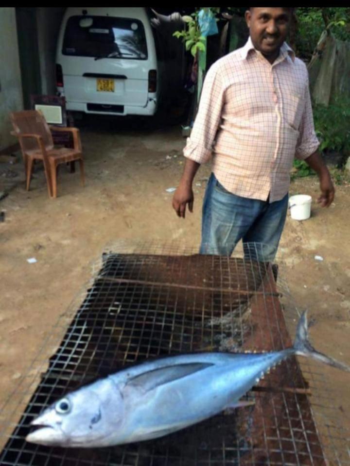 Sandaru Surffing Inn Weligama Exteriér fotografie