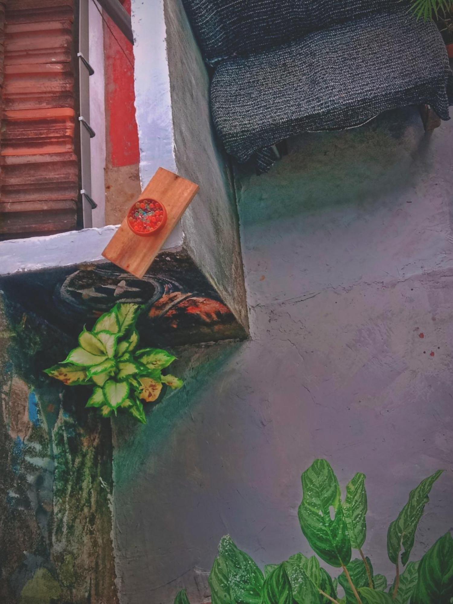 Sandaru Surffing Inn Weligama Exteriér fotografie