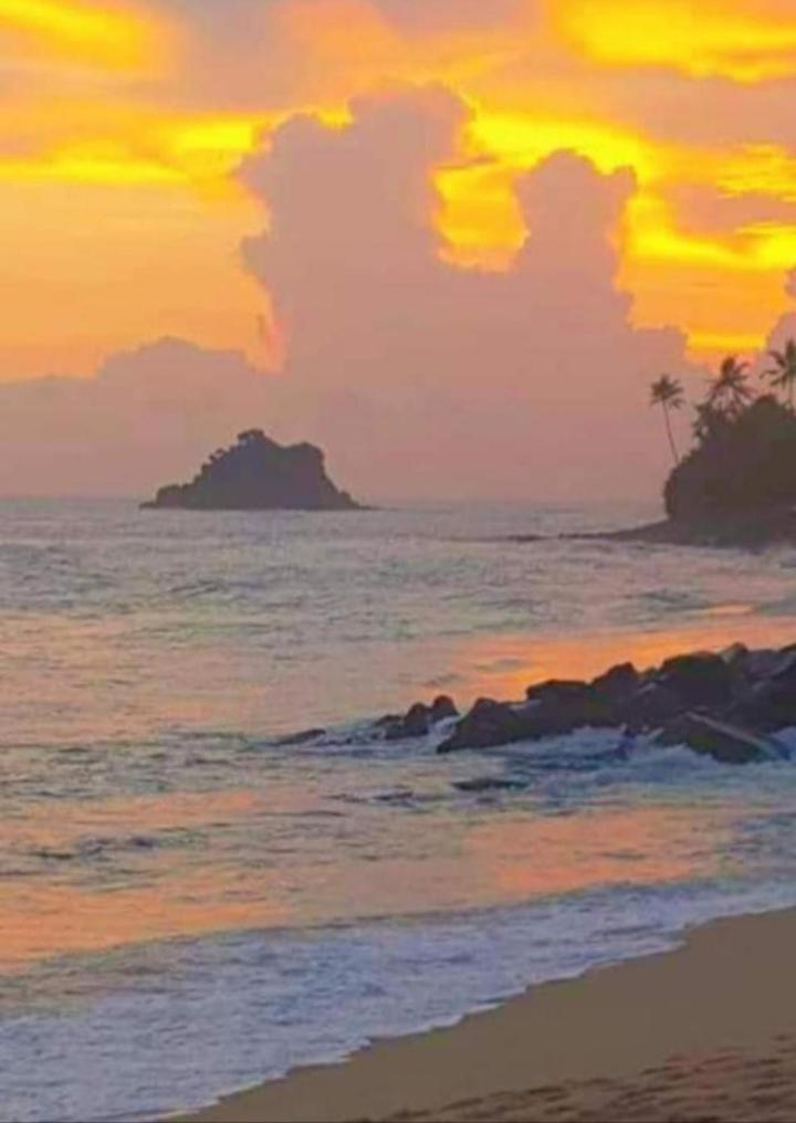 Sandaru Surffing Inn Weligama Exteriér fotografie