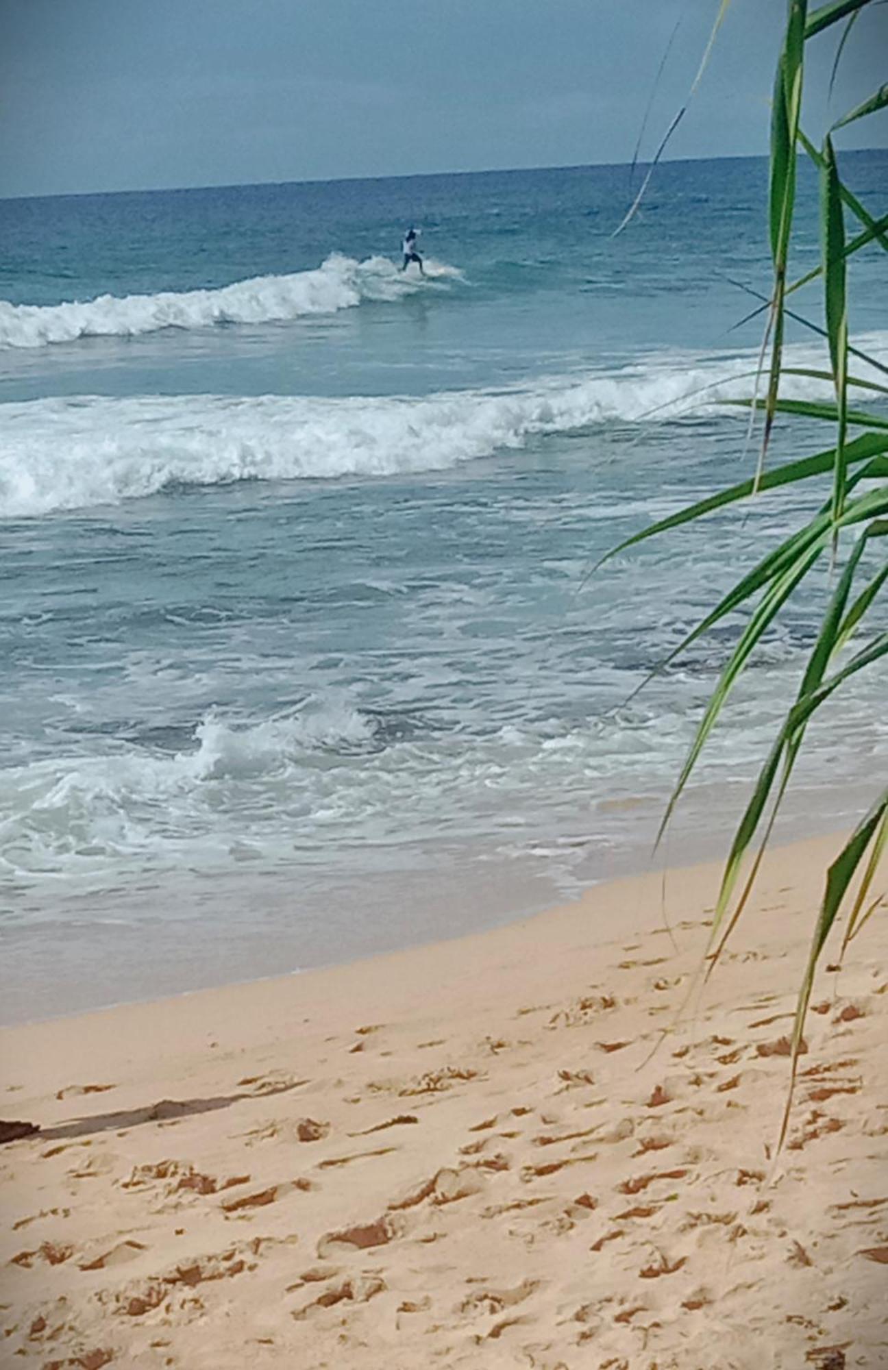 Sandaru Surffing Inn Weligama Exteriér fotografie